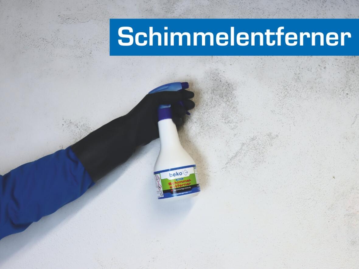 schimmelentferner